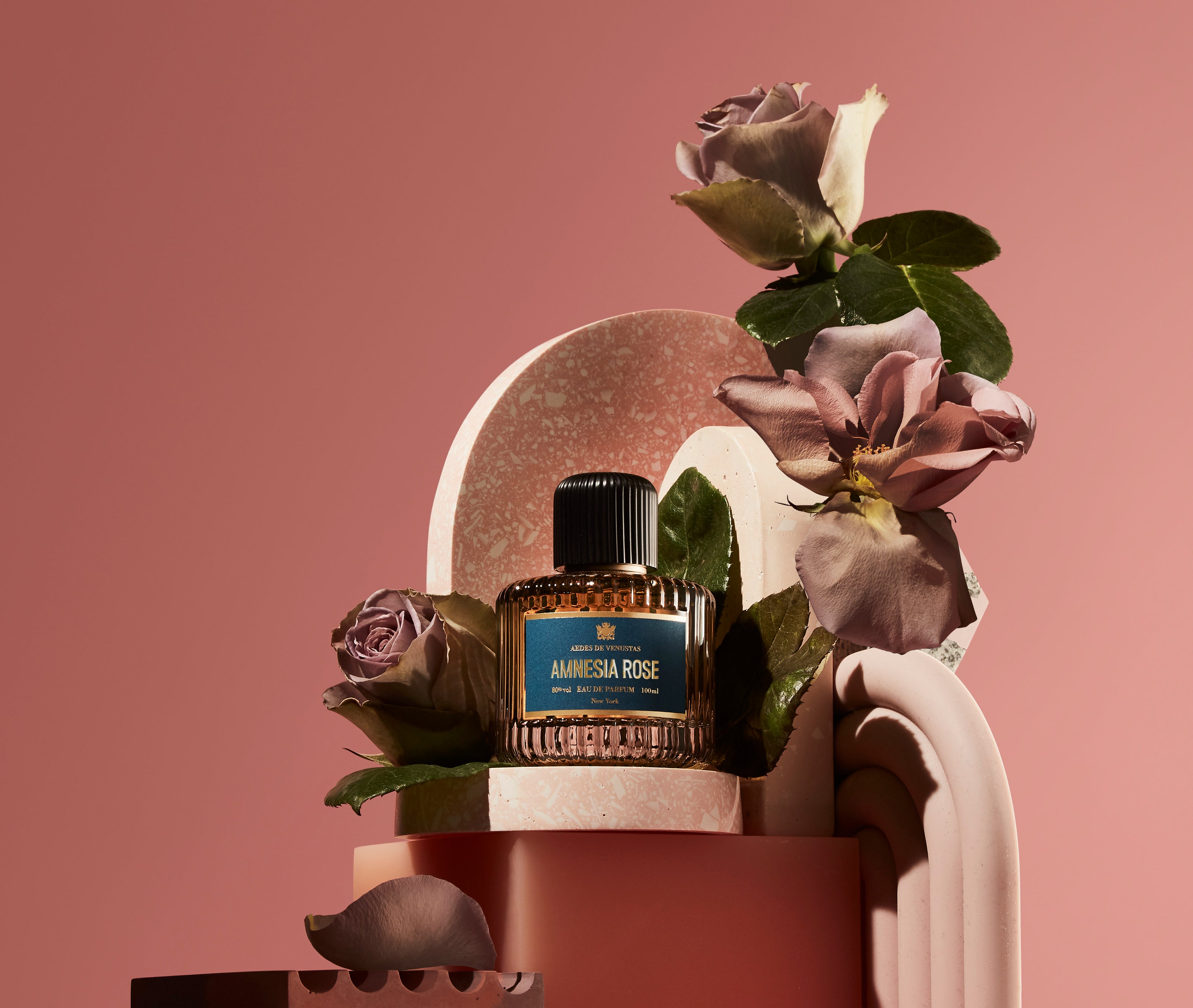 Amnesia Rose